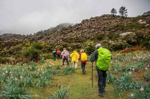 Walking in the Geres National Park
