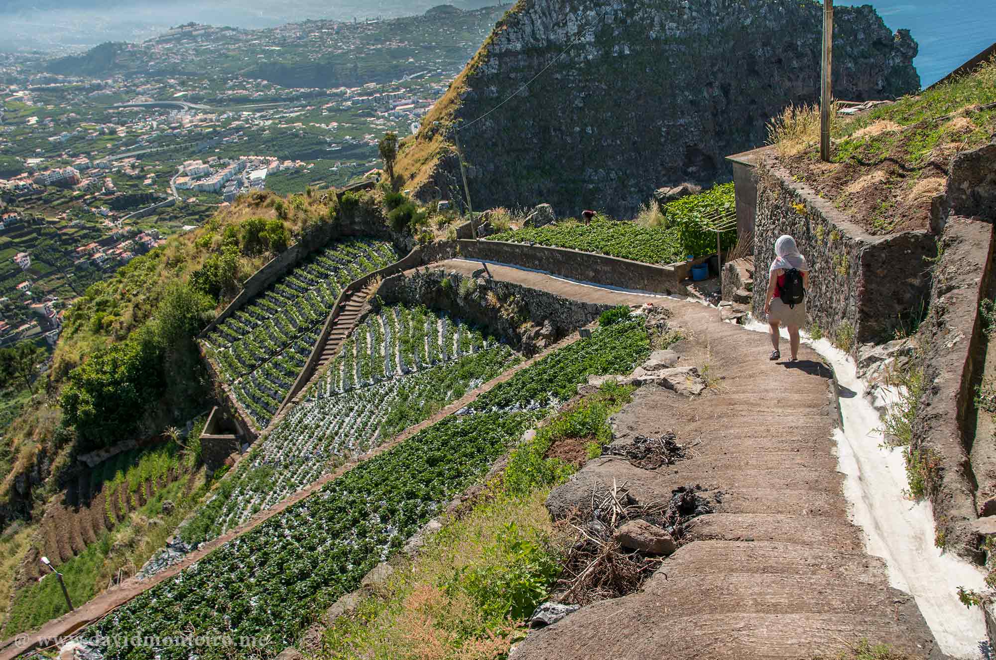 Walking trail in Madeira