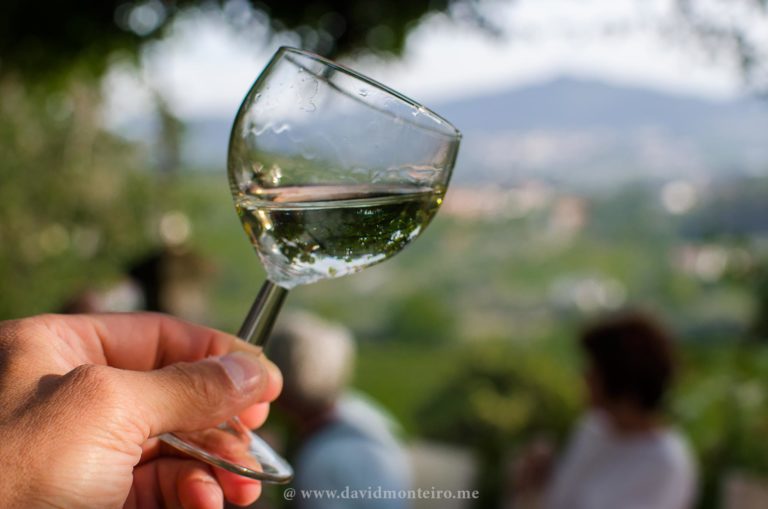 Vintage inn: The Charm of Paço de Calheiros