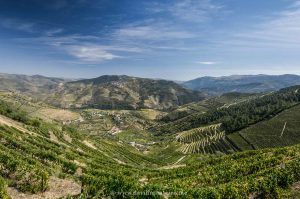 Douro Valley wine region