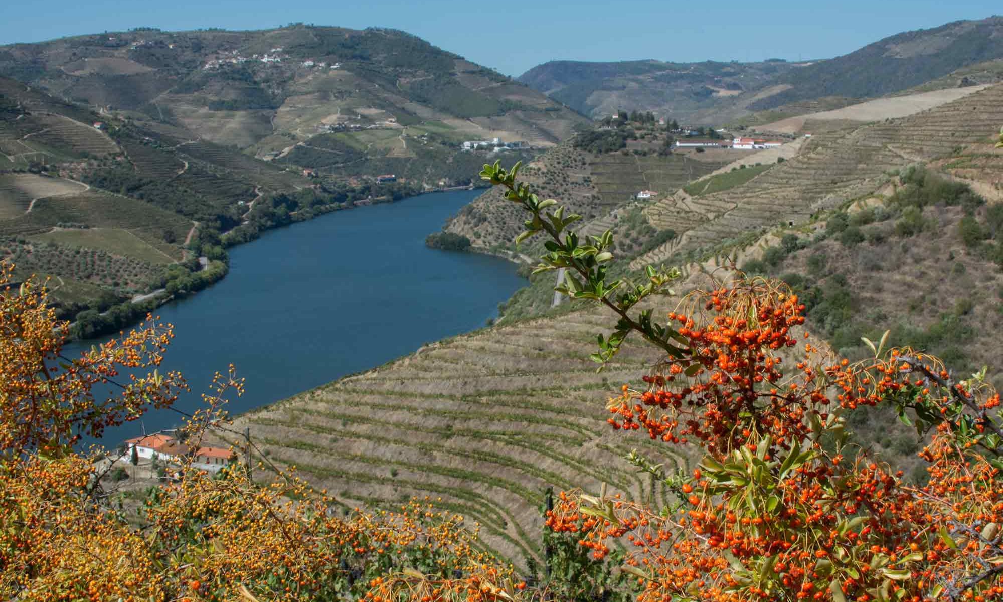 Douro Valley location