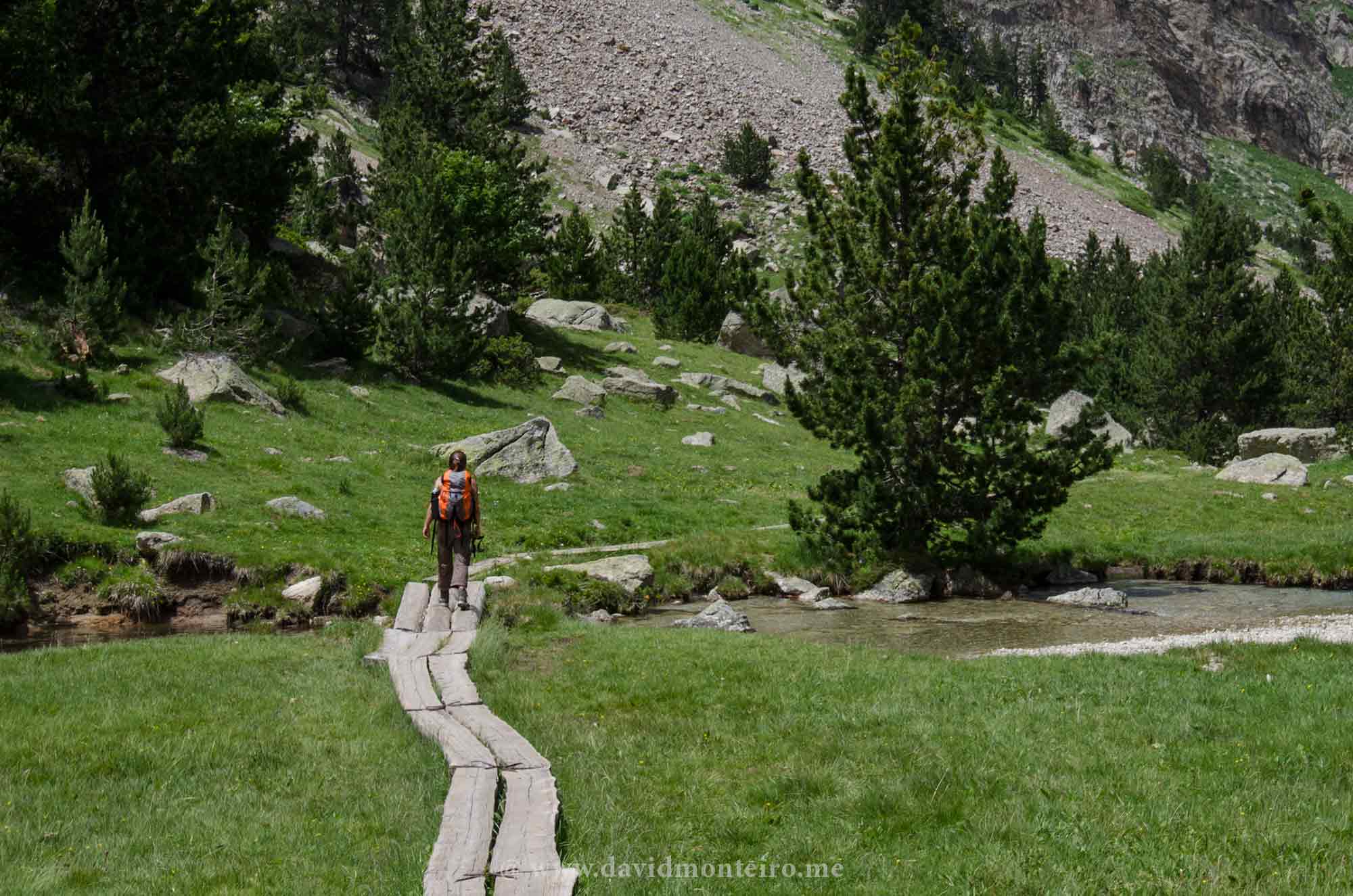 Aigüestortes National Park: hiking tour