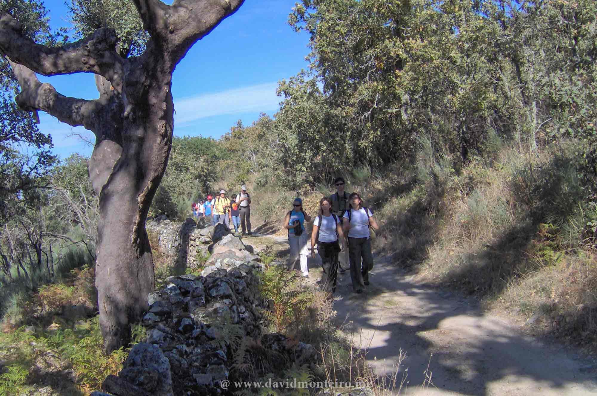 portugal-castelo-de-vide-002