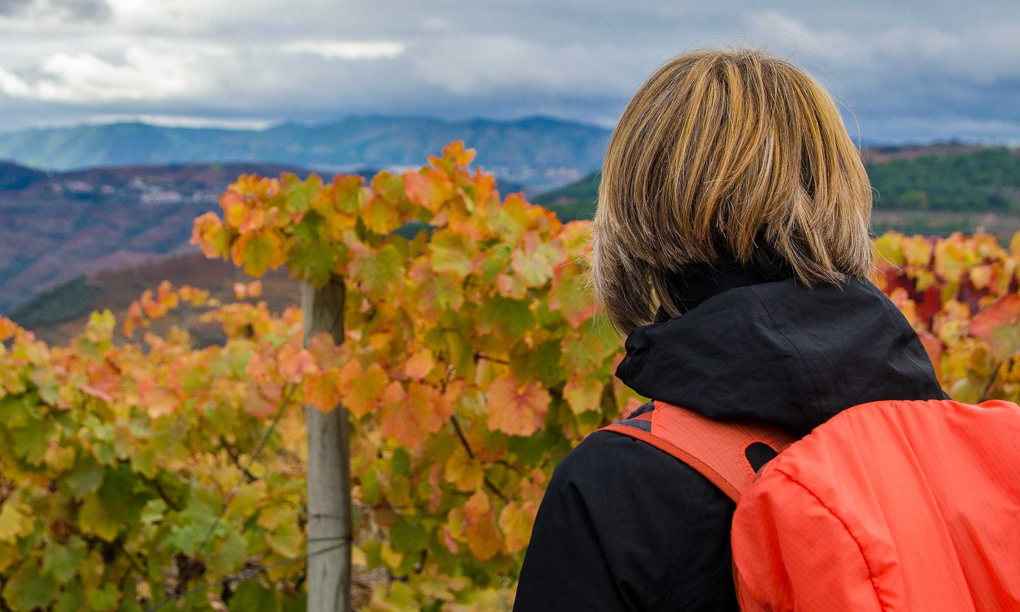 Treveling to the Douro Valley during the fall.