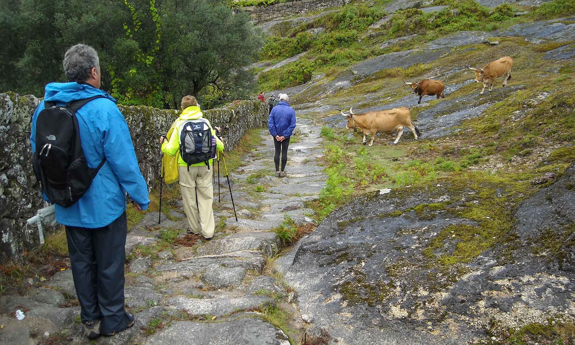 National Park Peneda Geres
