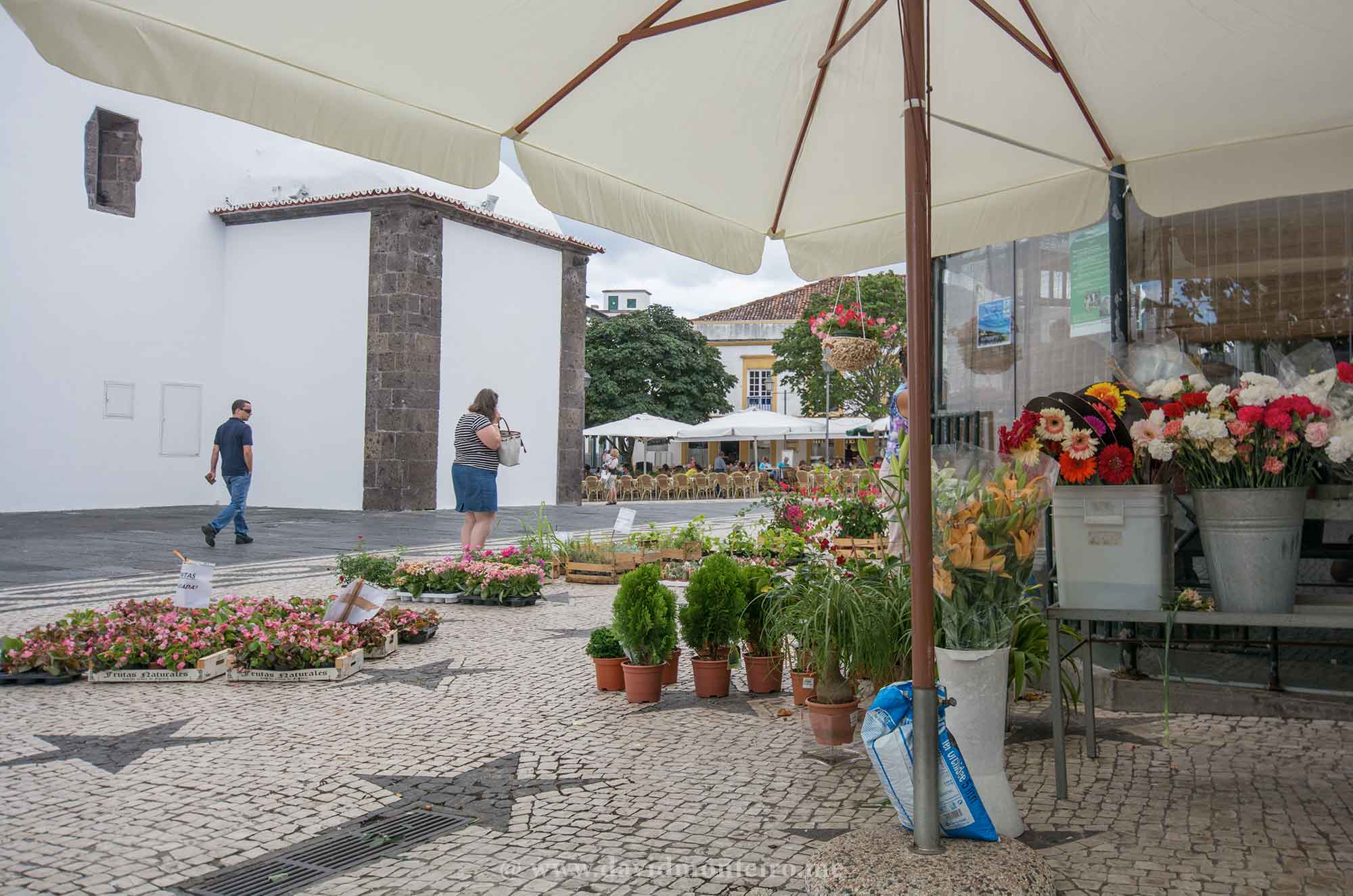São Miguel Island, Azores, Portugal