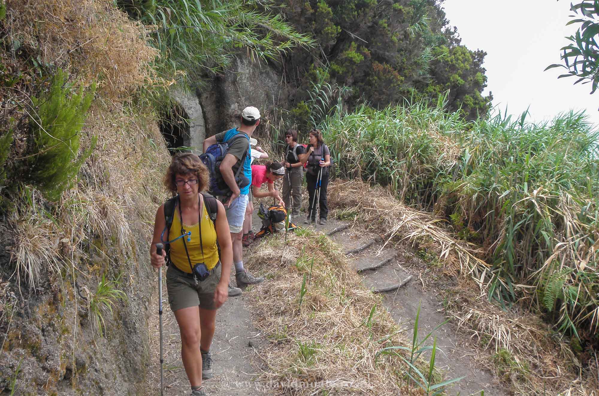 São Miguel Island, Azores, Portugal