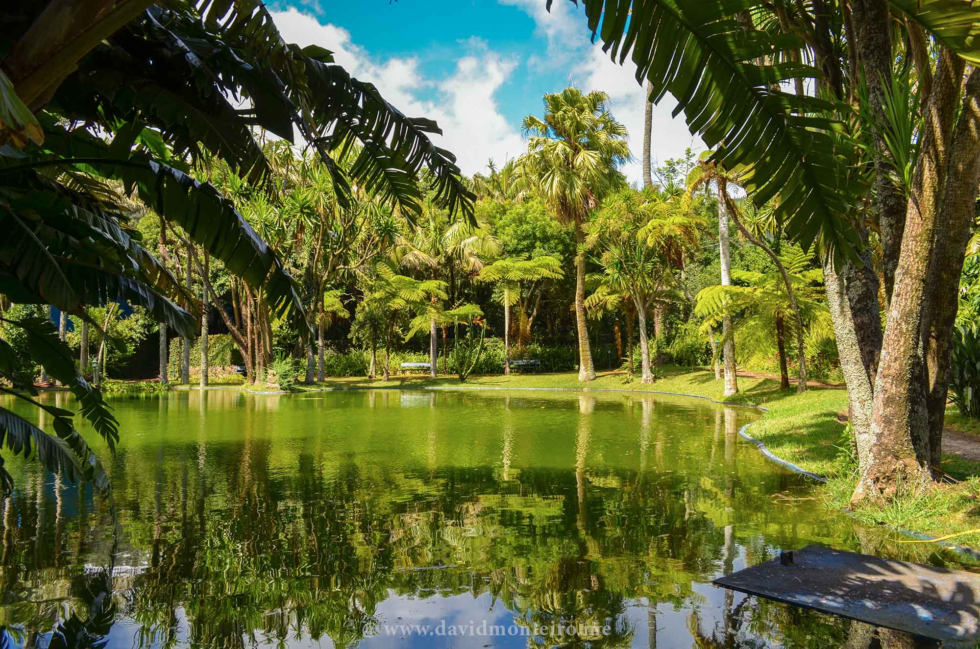 Terceira Island, Azores, Portugal