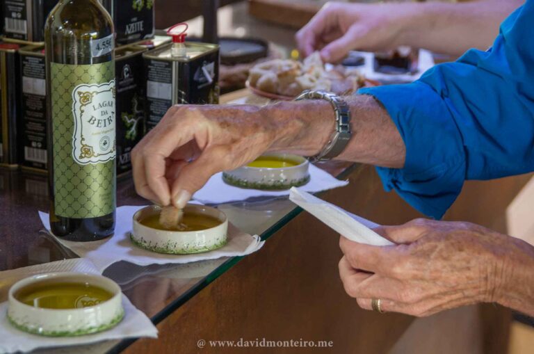 Olive oil tasting at Belmonte