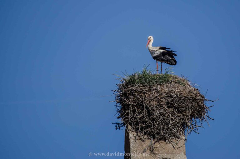 Idanha-a-Velha - Portugal