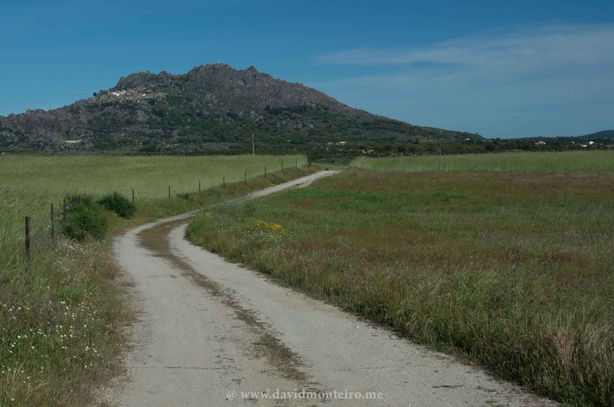 Monsanto - Portugal