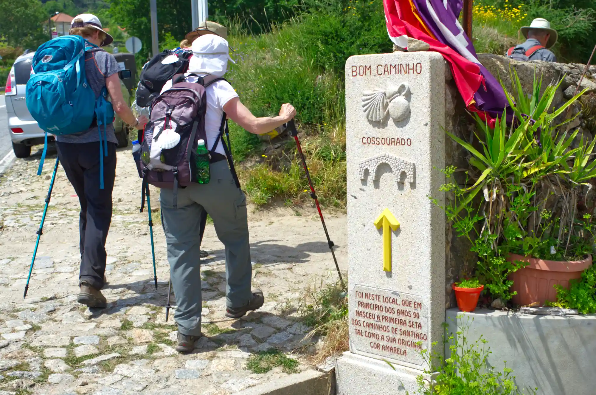 The Camino - Caminho de Santiago